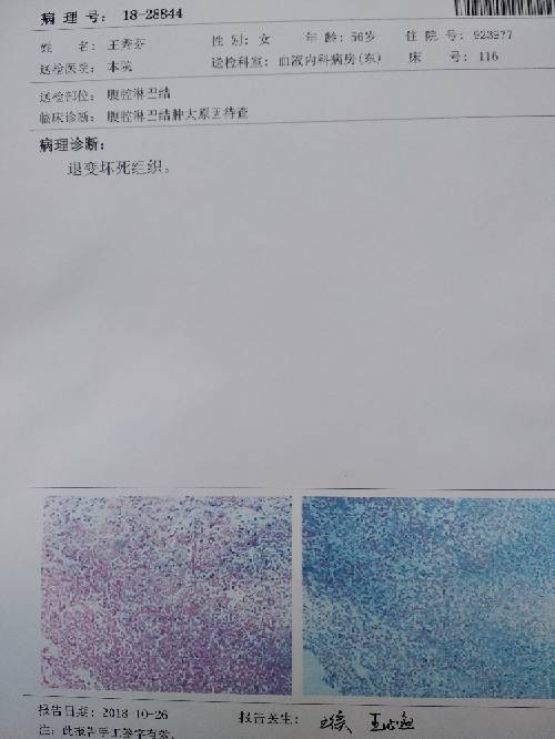 054625hm51vkw5n5mzlmxv.jpg