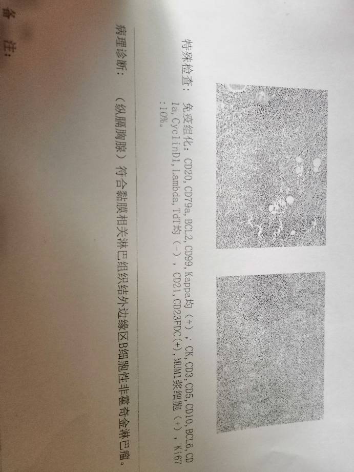 193926lqsccnn9nljc43su.jpg