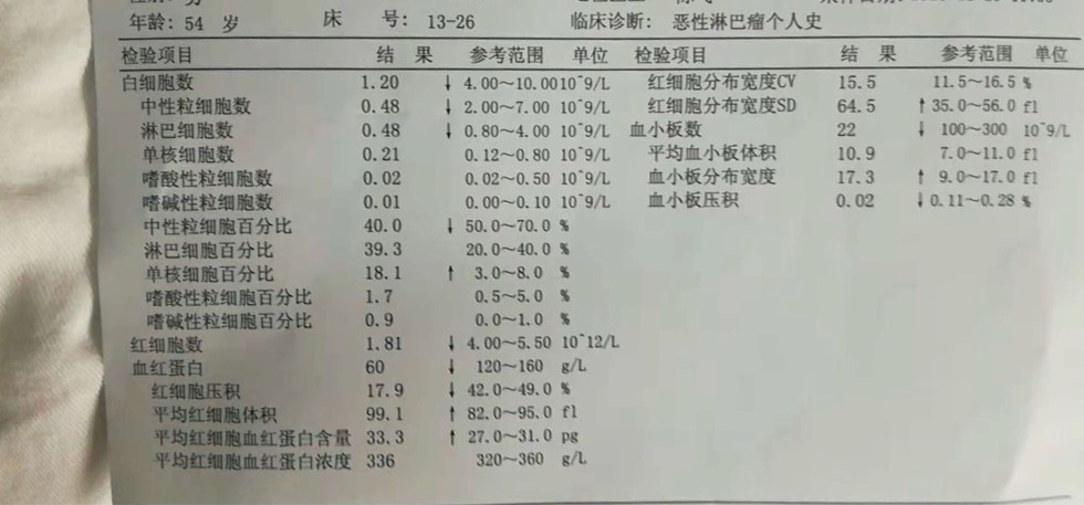 化疗白细胞偏低图片图片