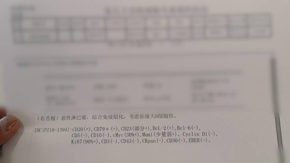 133122n7nvu59395v7csf2.jpg