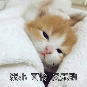 223542unv4ko77nc84cnc8.gif