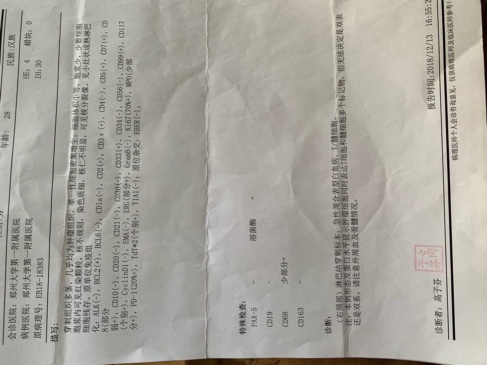 103236bvn9zh72pphaqc97.jpg