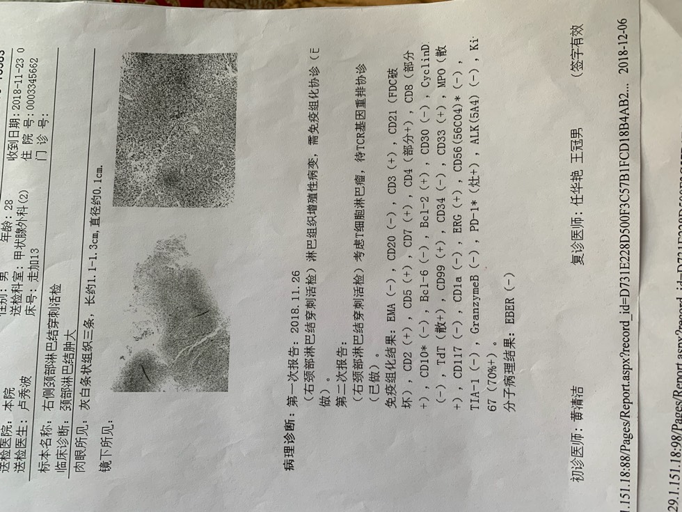 103241lmh2y2kv3i23inmy.jpg