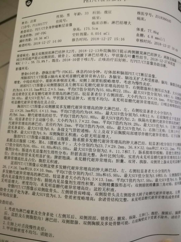 PET报告