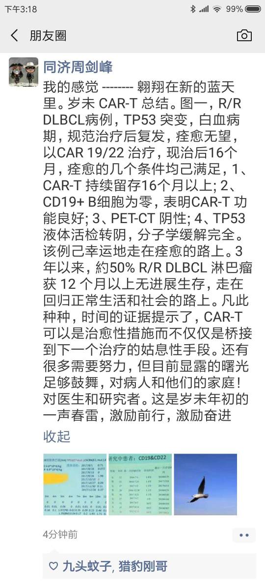 152730xw0wps2fwrzhxhd2.jpg