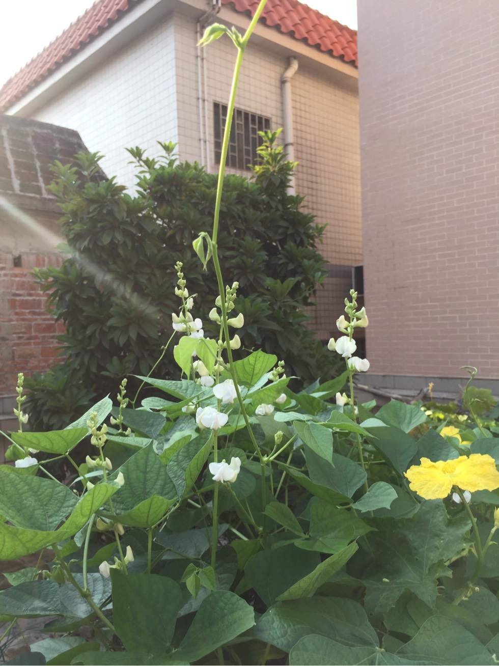 103226mneyu10241nd7y8j.jpg