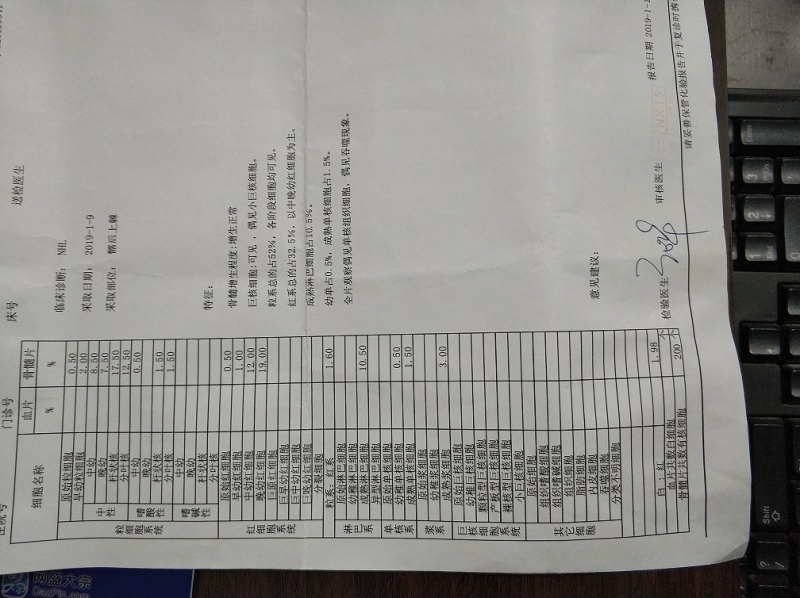 450.jpg