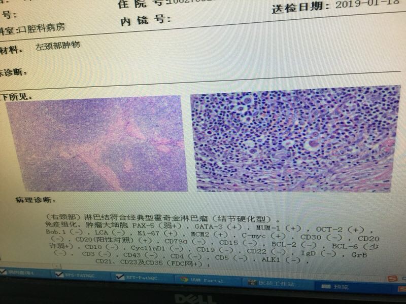 090228uxtw116m21nqrzif.jpg
