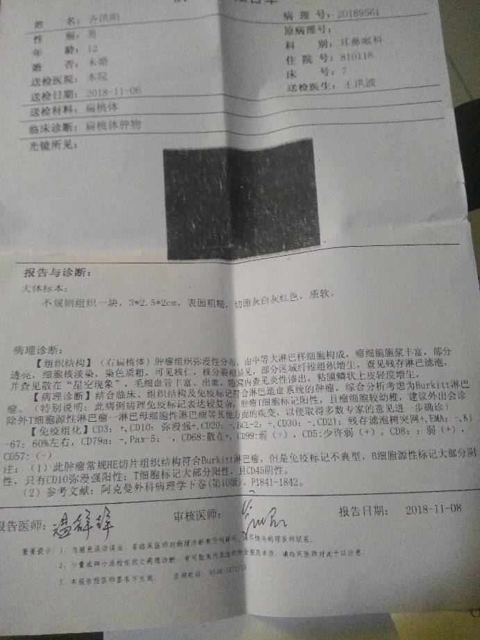 233715c1hu10163ahxiu61.jpg