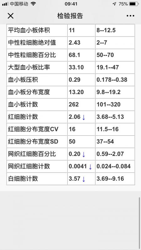 IMG_6382.PNG