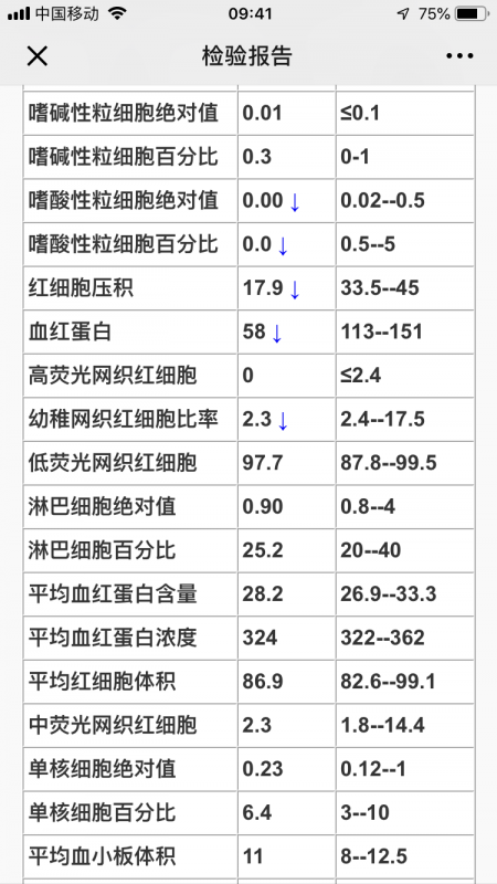 IMG_6381.PNG