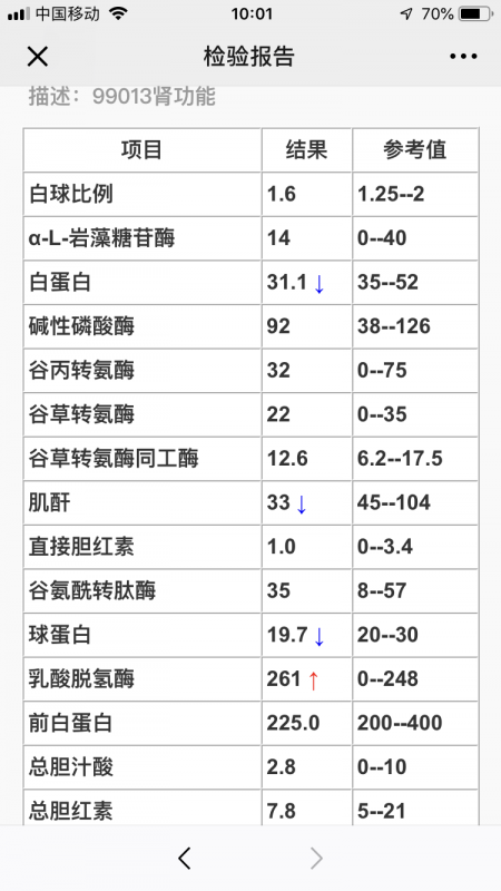 IMG_6388.PNG
