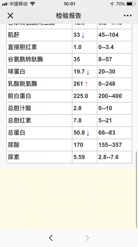 IMG_6389.PNG