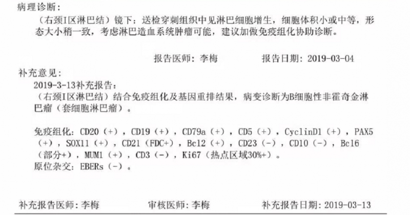 报告.png