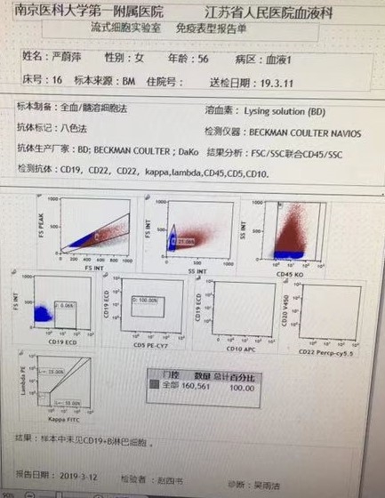 骨髓流式报告