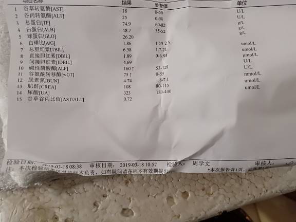 122052q3xg685fjbzg95b3.jpg