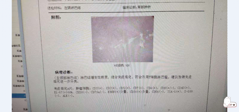 微信图片_20190319170009.png