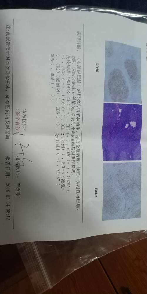 230912lto8nxqh8totr6pp.jpg