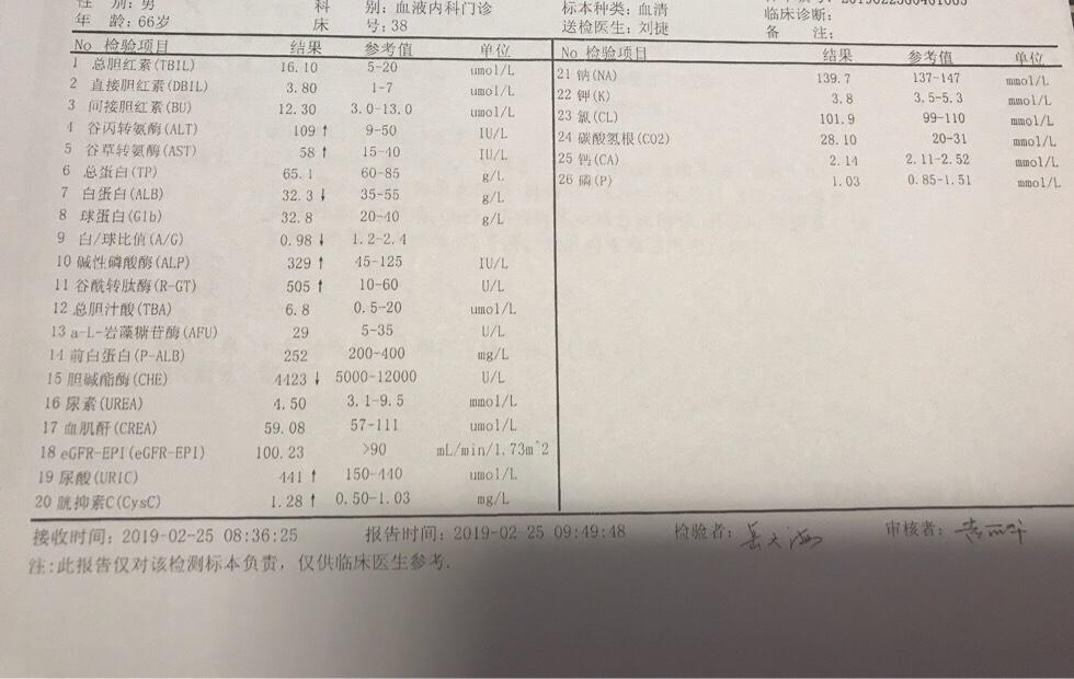 074412hr3axet1733a28rl.jpg