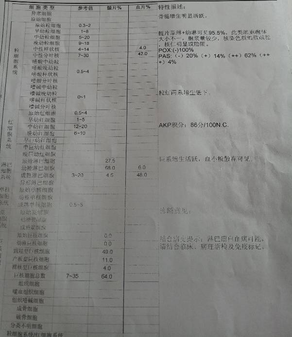 190329ebj8b88kn8jj8aq8.jpg