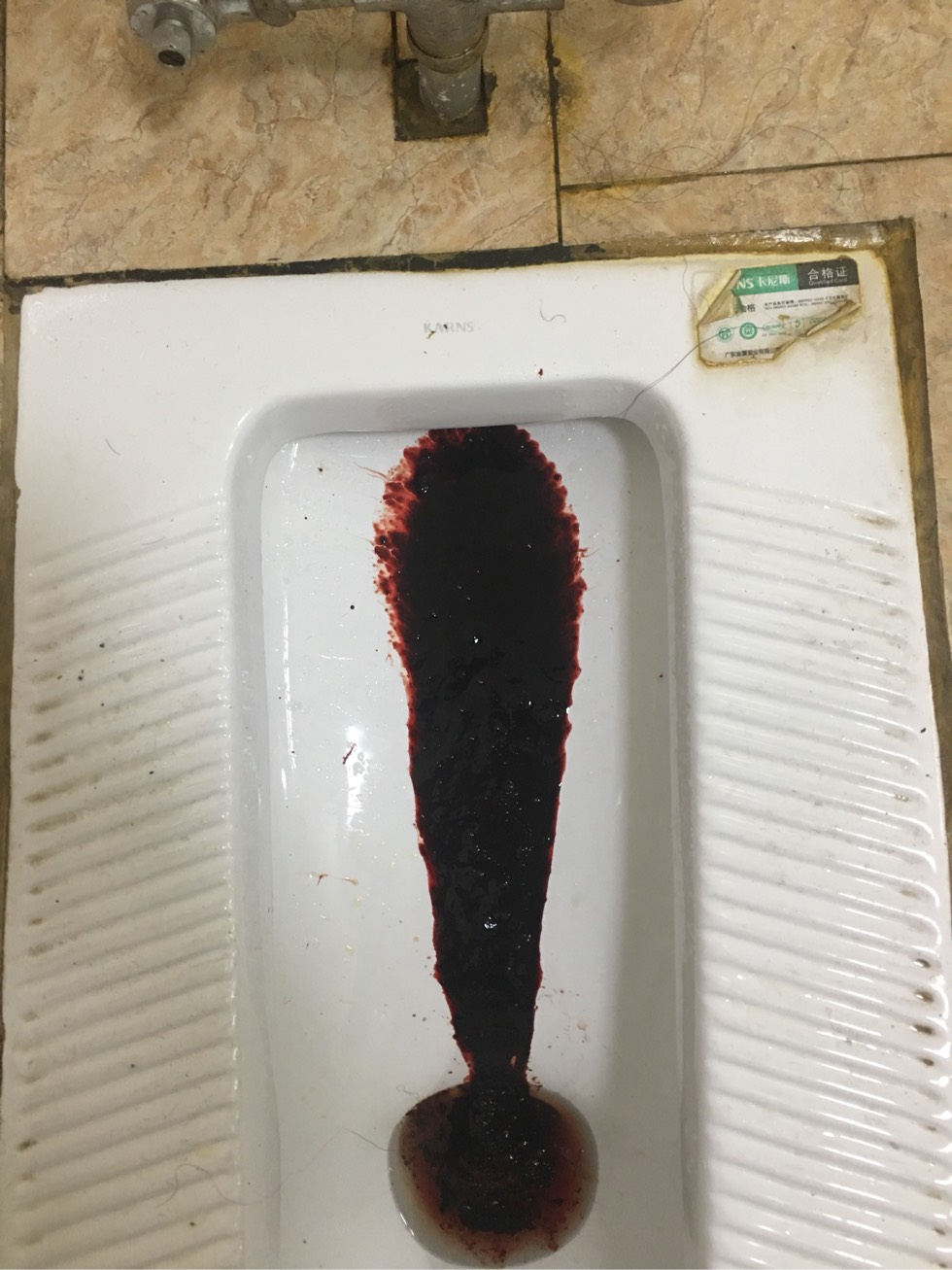 011706wzhyhadatrhhxyn3.jpg