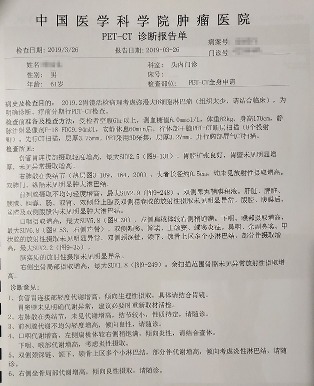 PET报告