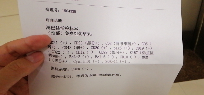 805457658391935777.jpg
