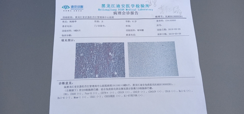 病例分析结果