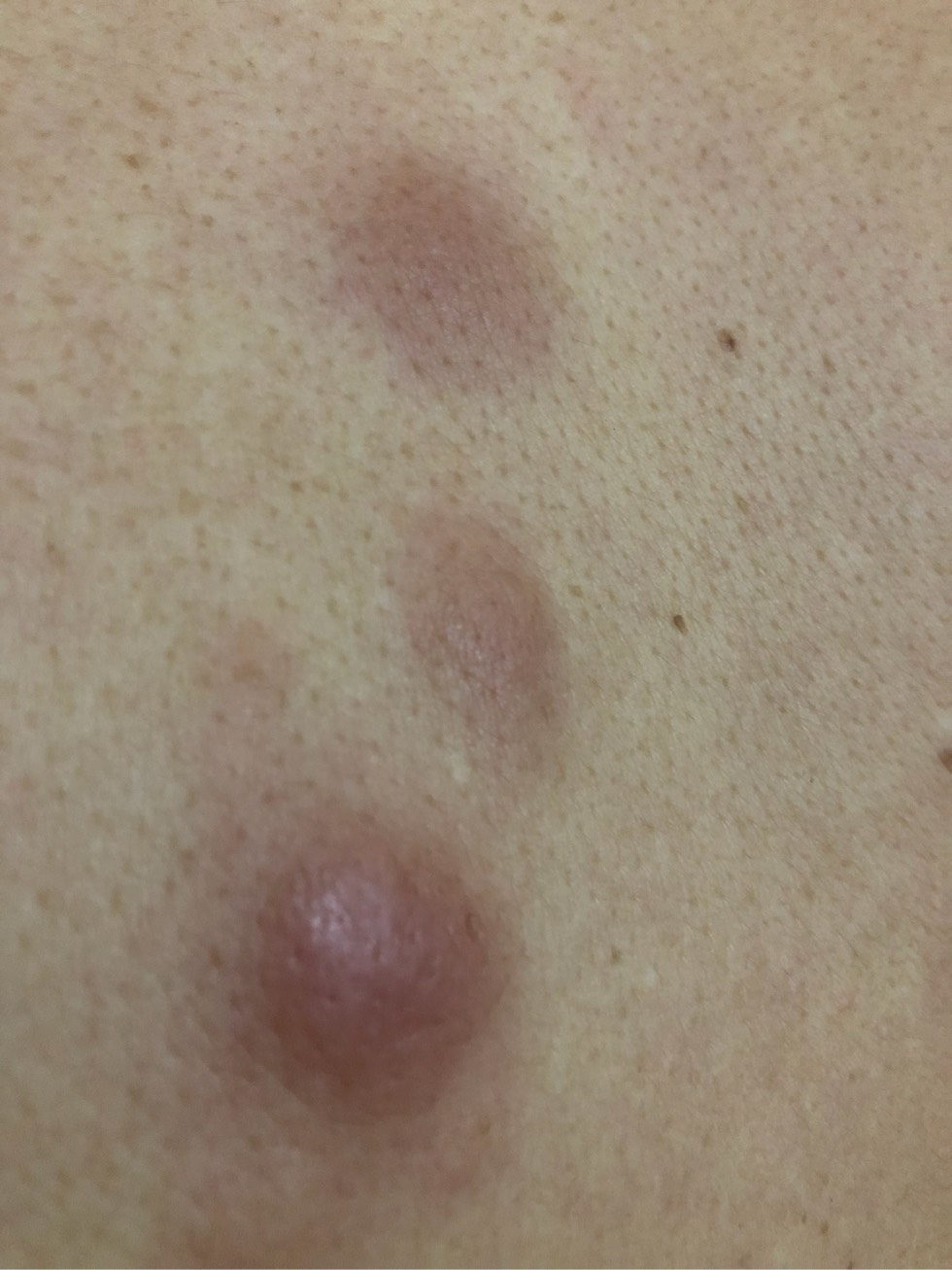 203736p85jquef7opzjrwc.jpg