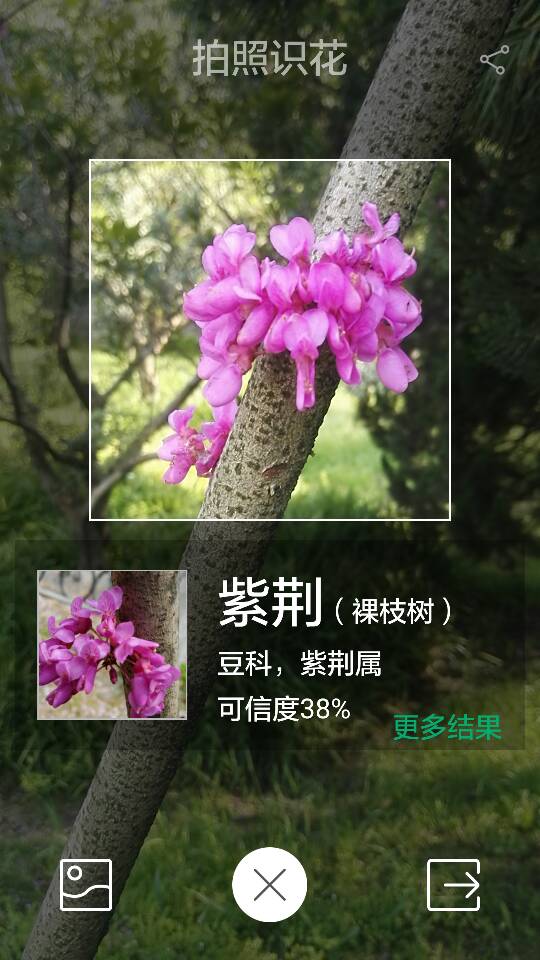 141707uxprnn3ggq5bsi0n.png