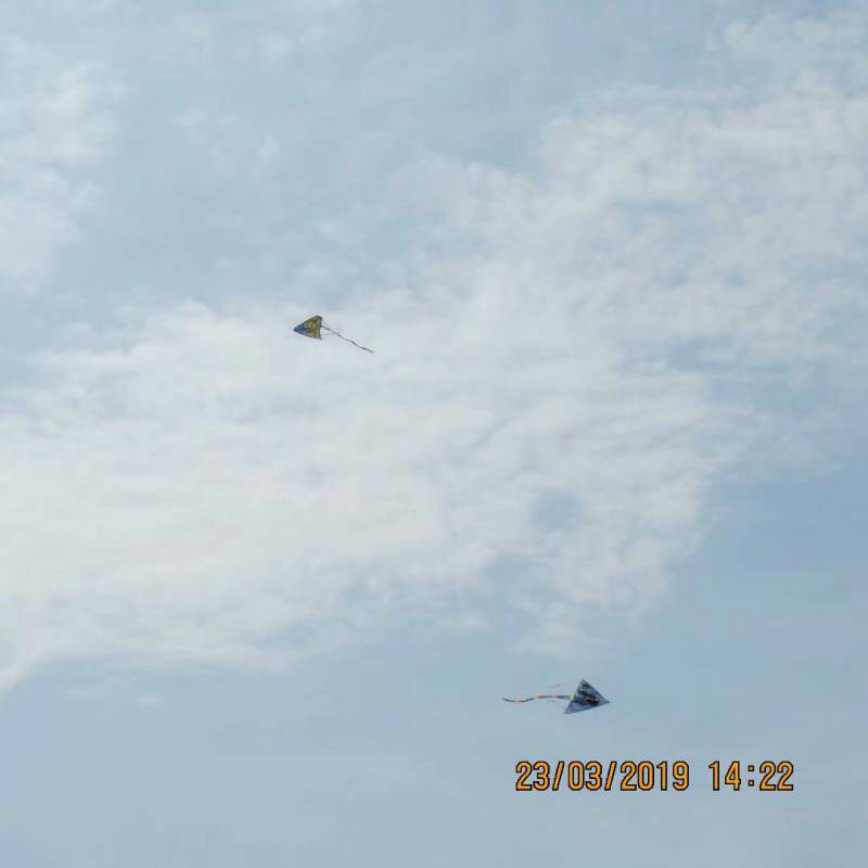 104505q56snm70d860lhch.jpg