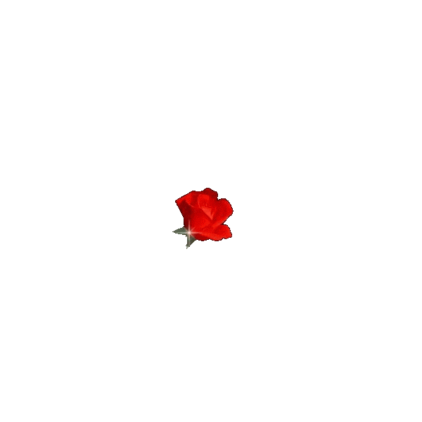0 (6).gif