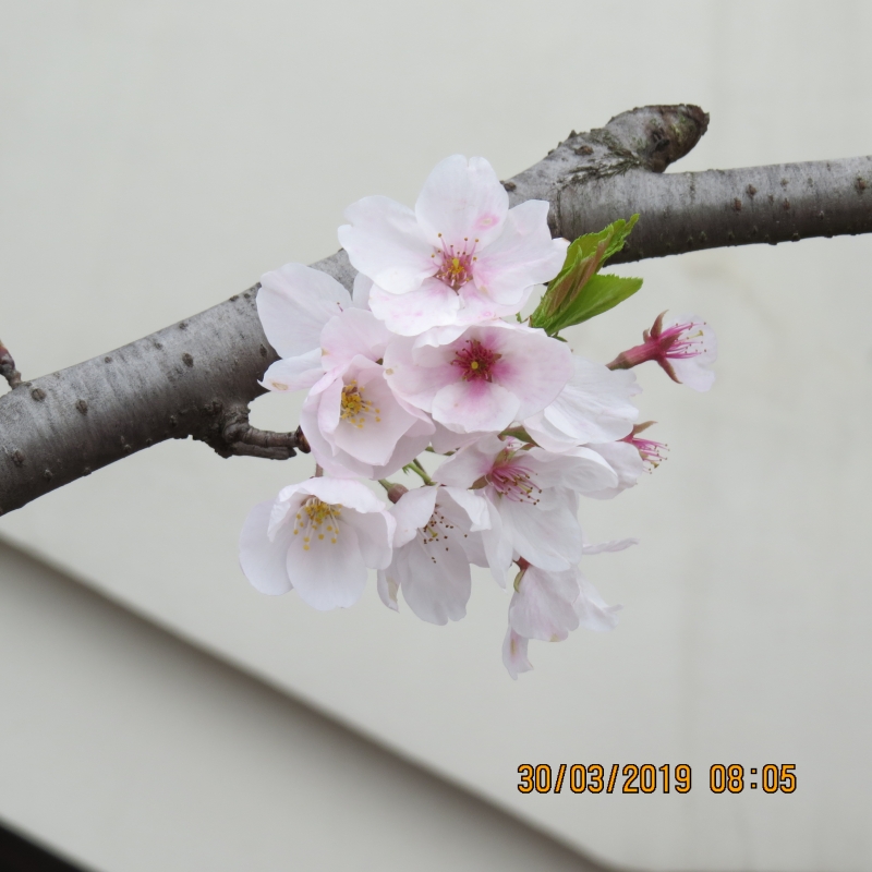 IMG_8024.JPG