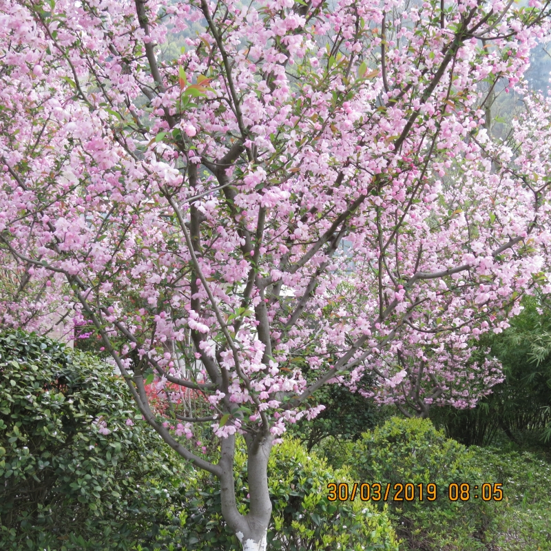 IMG_8025.JPG
