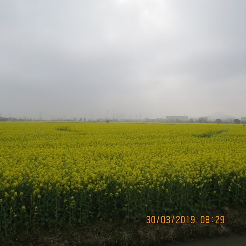 IMG_8091.JPG
