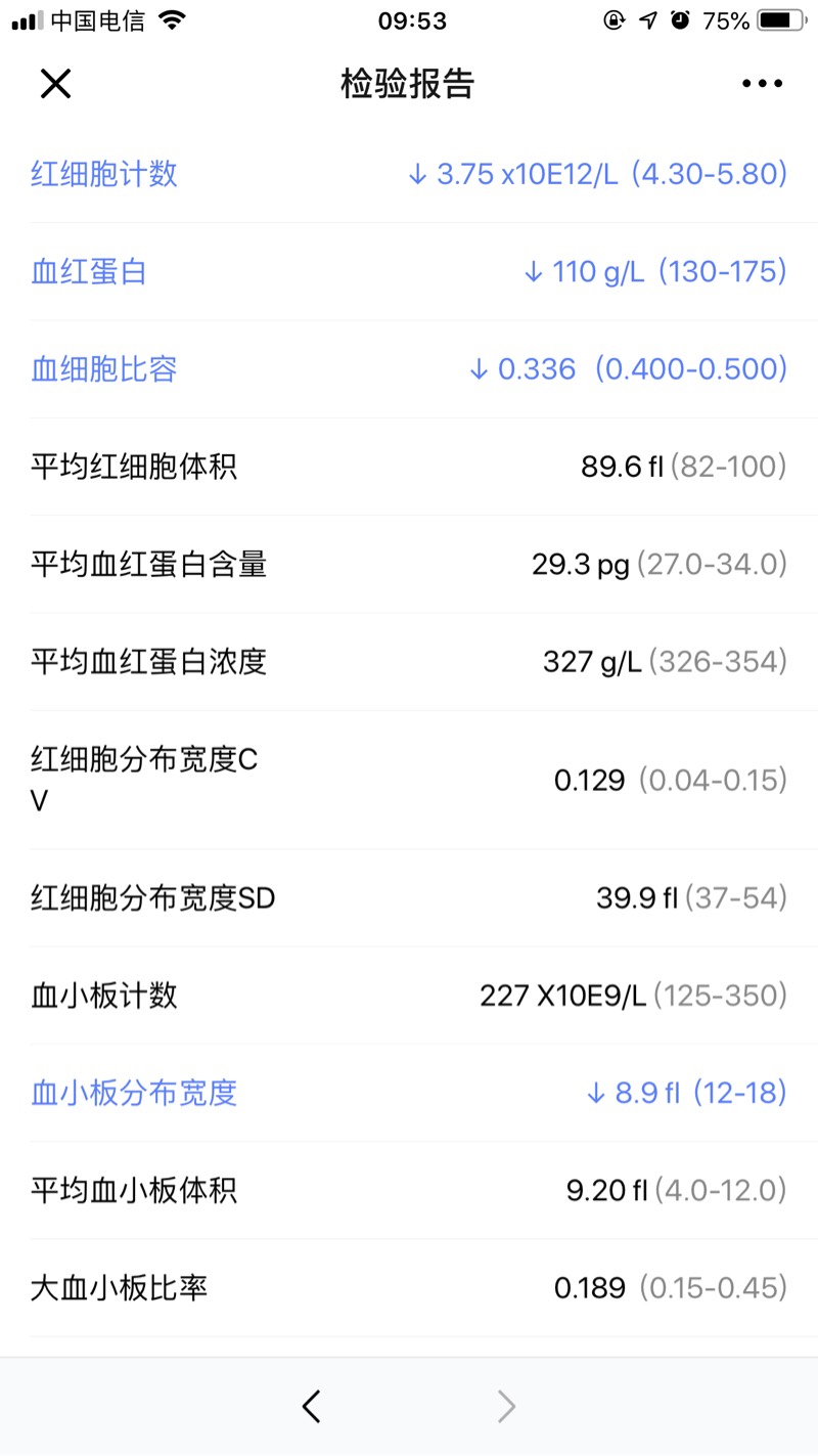 095409w7jhj0jsg6cb957a.jpg