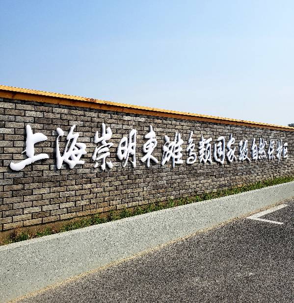 173640qwj5ej3heo365736.jpg
