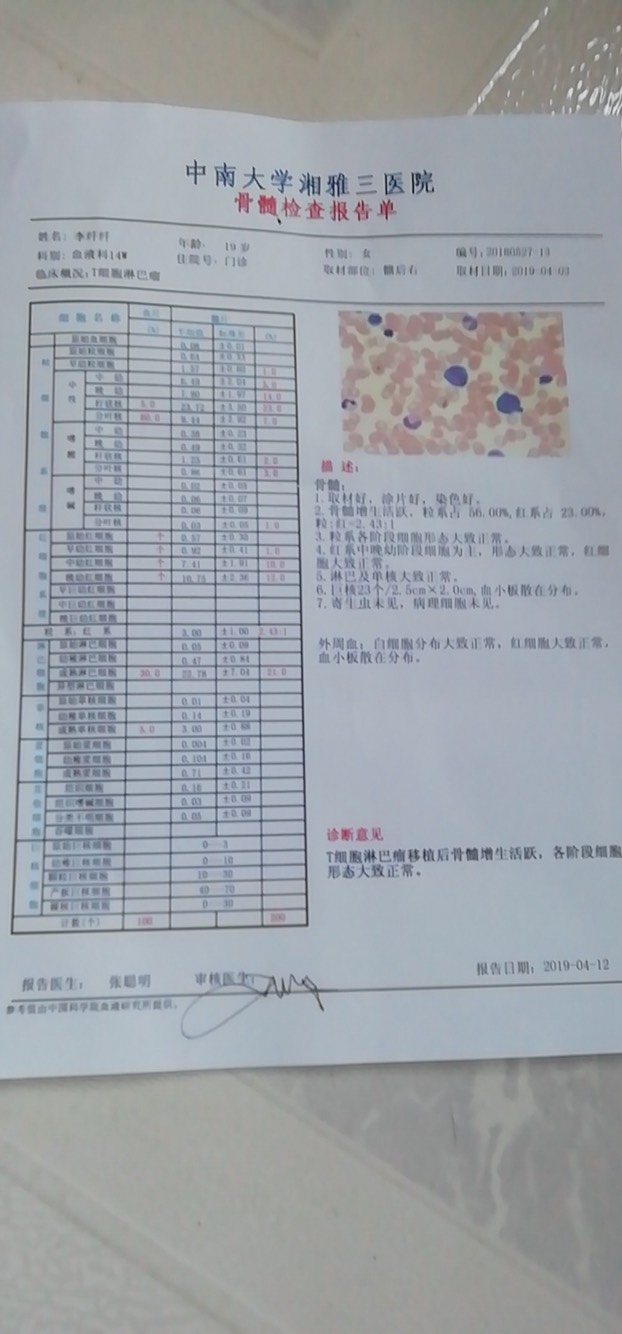 112816wfvytn13fy3dava1.jpg