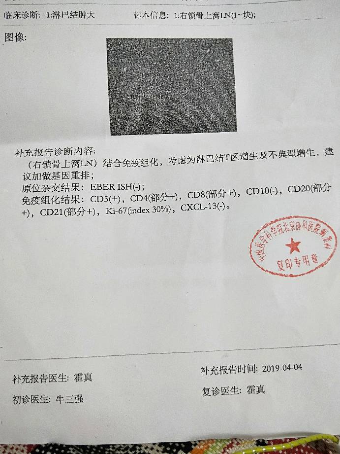 213457rfq40i62z297063m.jpg