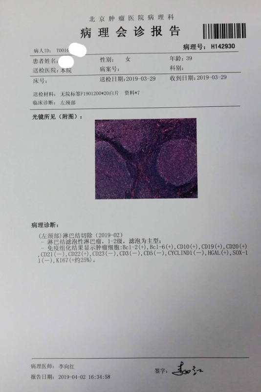 病理报告_北京肿瘤医院_李向红_20190402m.jpg