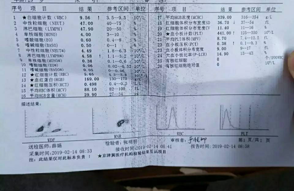 144104kbbxkjjikzxdzdia.jpg