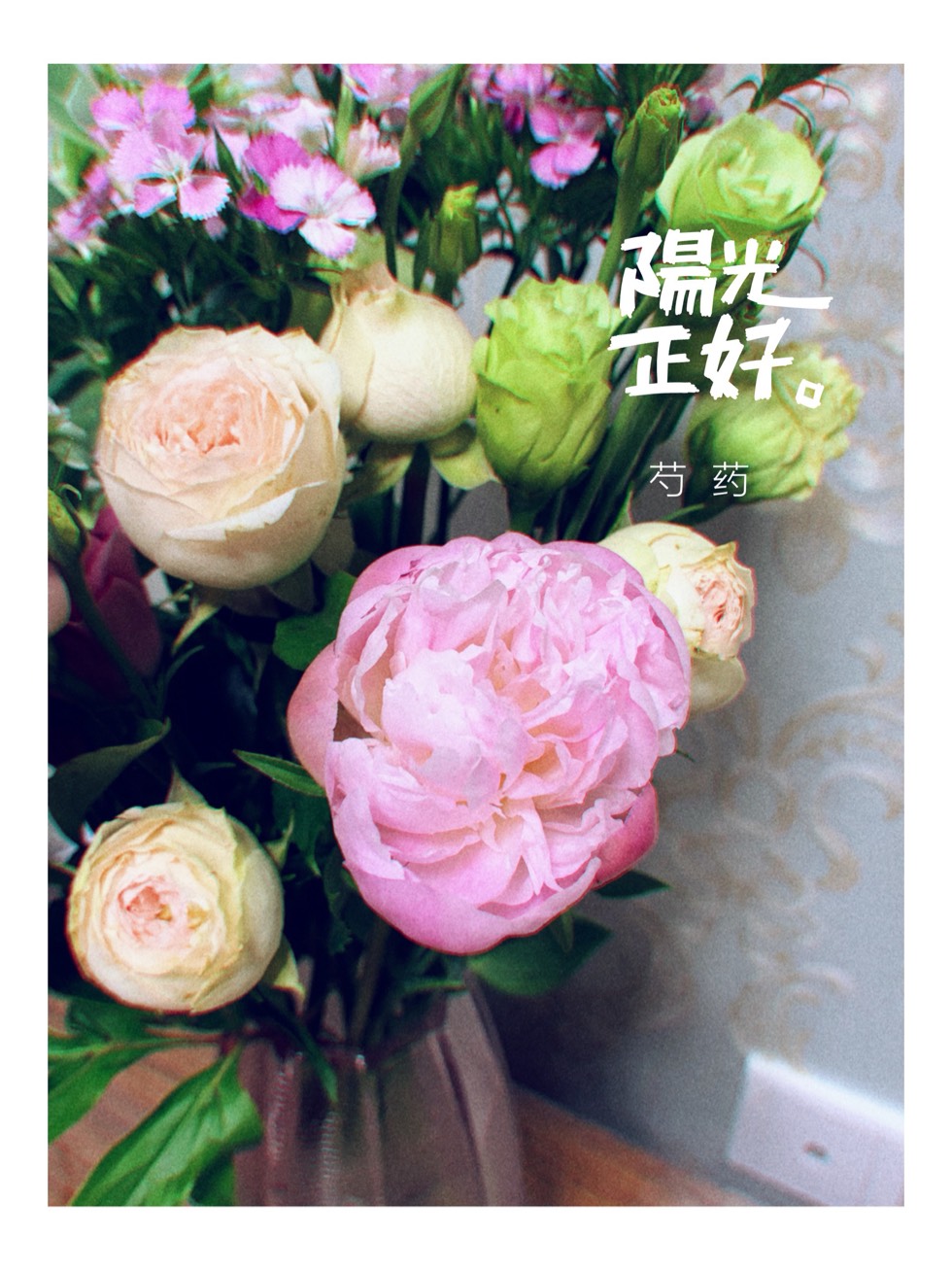 191050pm39snz83njntmje.jpg