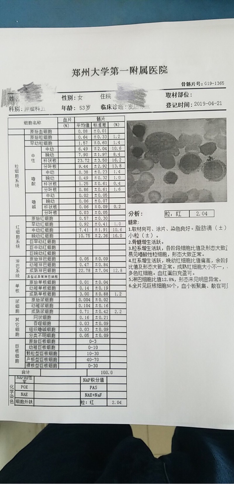 193811f9ywko22lu994jkw.jpg