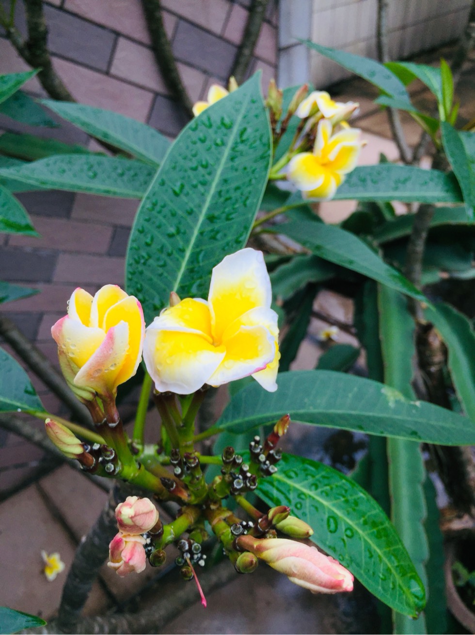 104631pw5zg050w0hcg9ng.jpg