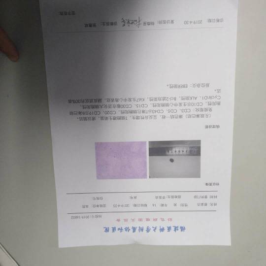 135113xff8mmcaopp05ift.jpg