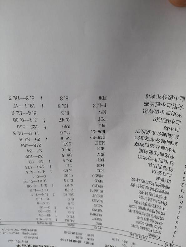 100428ploommptnft5hpln.jpg