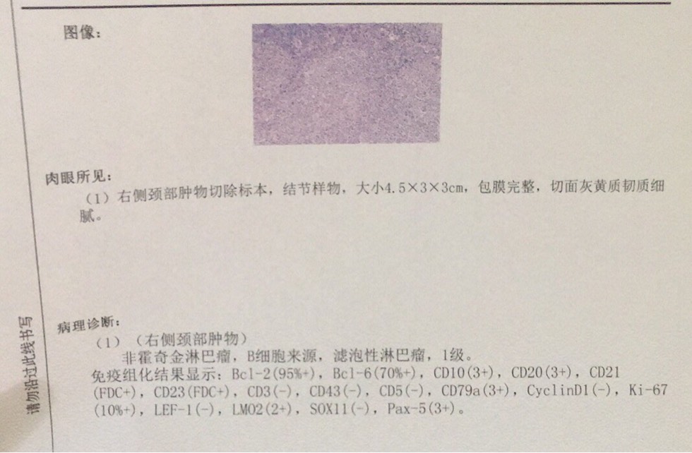 210243mibu7fnufufxupfv.jpg