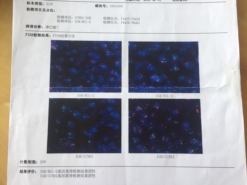 083311eymjb4m69bb5985g.jpg