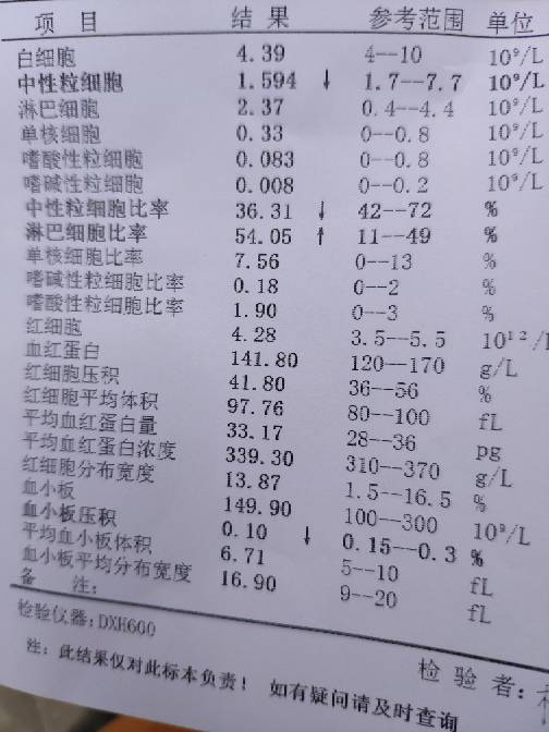 112139ukf5393kfjl33304.jpg