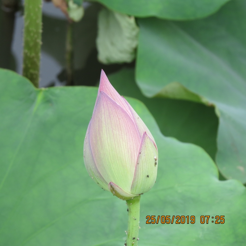 IMG_8346.JPG